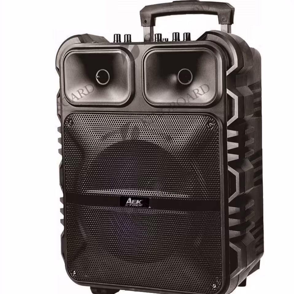 اسپیکر مدل ZQS 1163