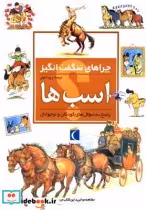 قیمت و خرید کتاب چراهای شگفت انگیز اسب ها 183941 | ایده بوک