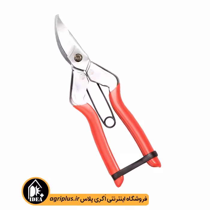 قیچی میوه چینی 2399 وایزست