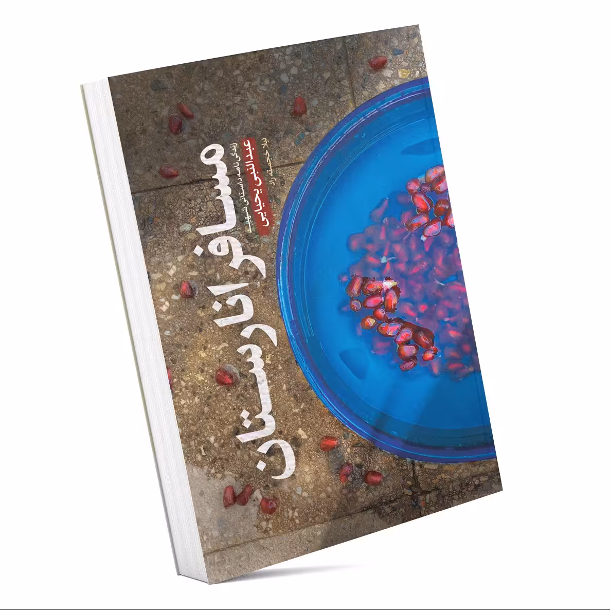 کتاب مسافر انارستان