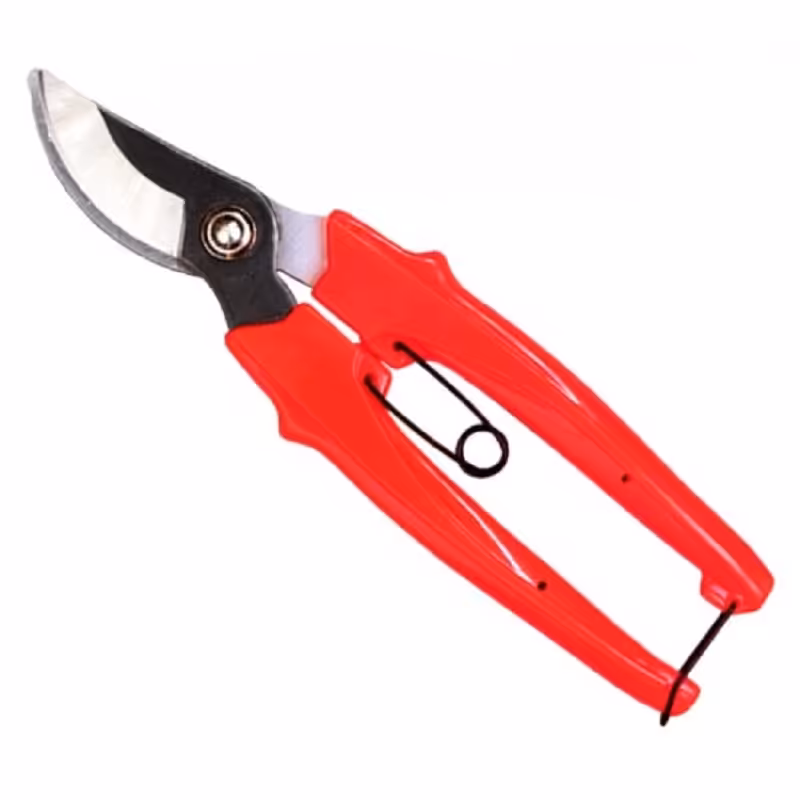 قیچی میوه چینی وایزست مدل 5420