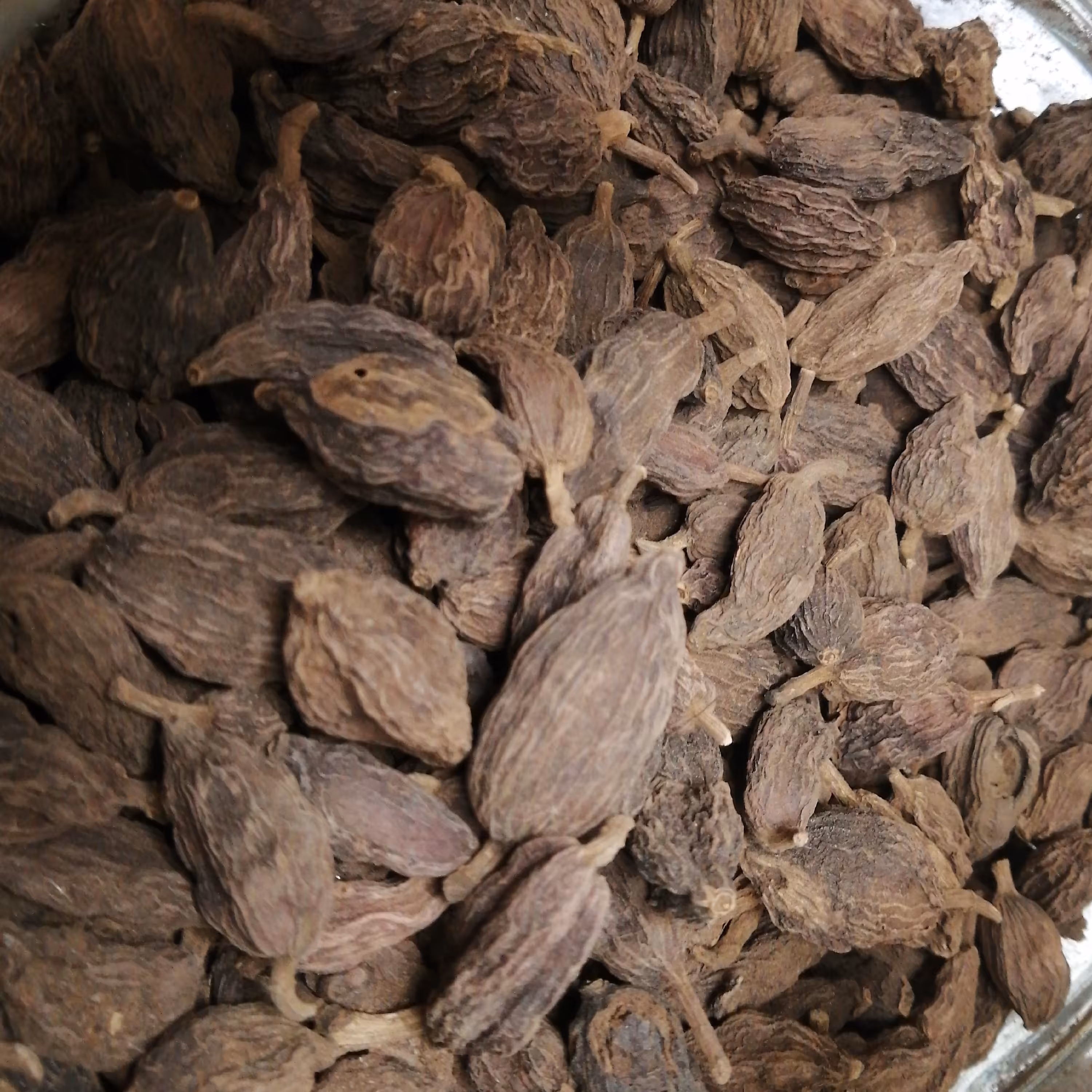 هل باد 75 گرم