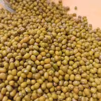 ماش مینودشت(500گرمی) 