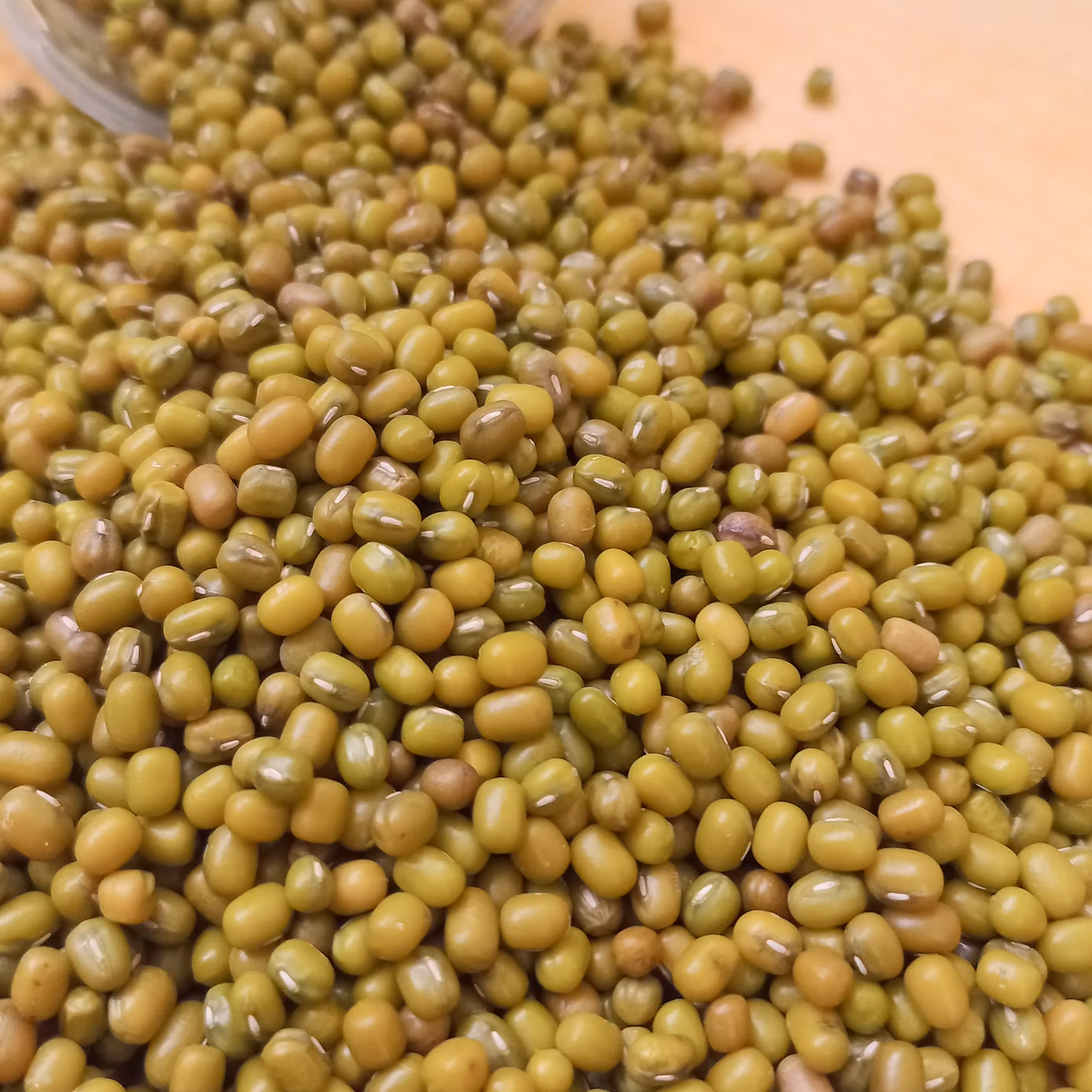 ماش مینودشت(500گرمی) 