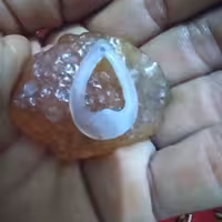 تراش اشک وقلب     آرامش بخش اعصاب  ودرد مفاصل