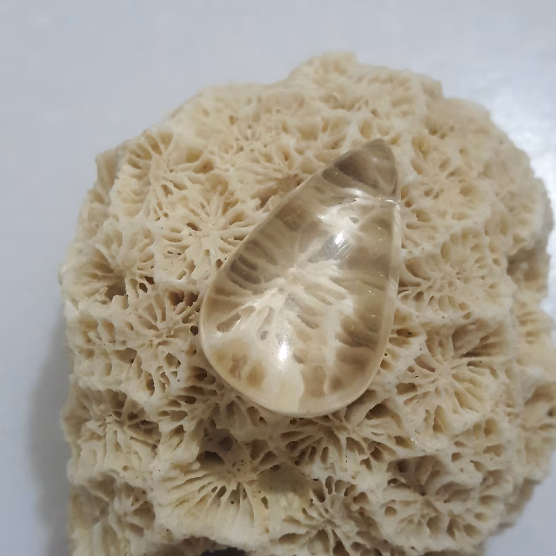 نگین اشک تراش دُر رتایل با موهایی ازجنس طلا