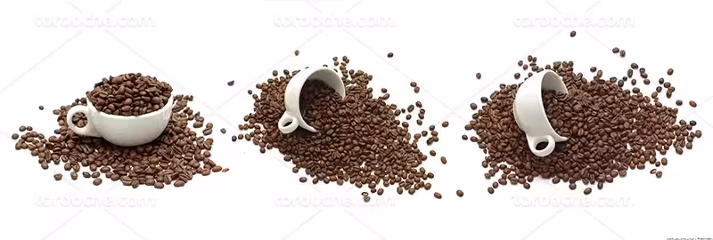 عکس فنجان و دانه قهوه | گرافیک با طعم تربچه
