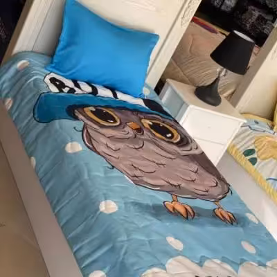 ست روتختی یک نفره طرح جغد مهربون برند ایپک