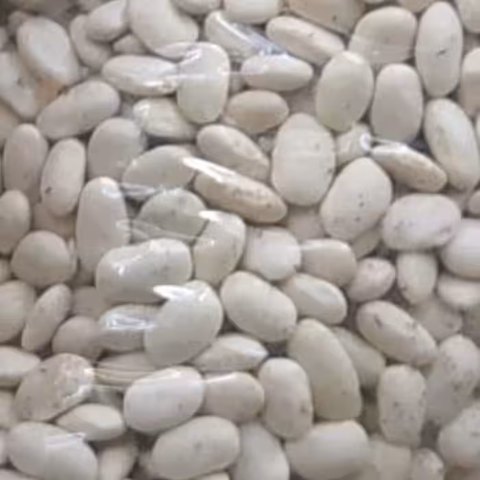 لوبیا سفید900گرمی ،ارسال رایگان سه خرید یک محصول هدیه