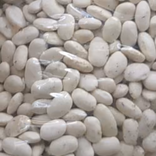 لوبیا سفید900گرمی ،ارسال رایگان سه خرید یک محصول هدیه