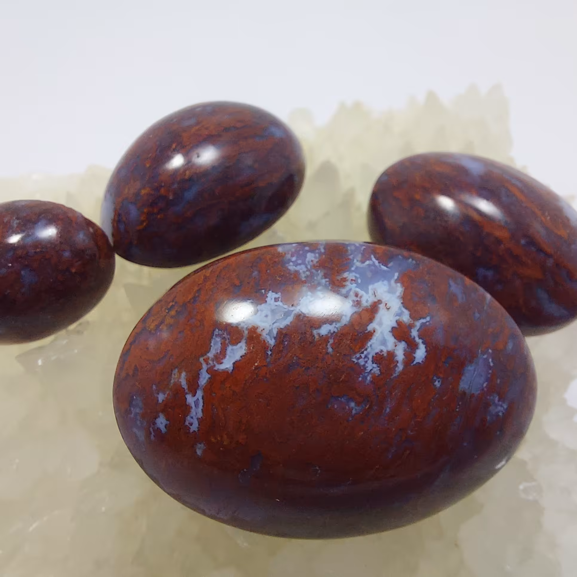 پک 4عددی شجر قرمز بسیار زیبا و خاص با تراشهای یمنی و گنبدی