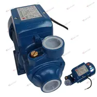 پمپ آب نیم اسب هاچاسو (ویکتوری) HACHASOU VPM55
