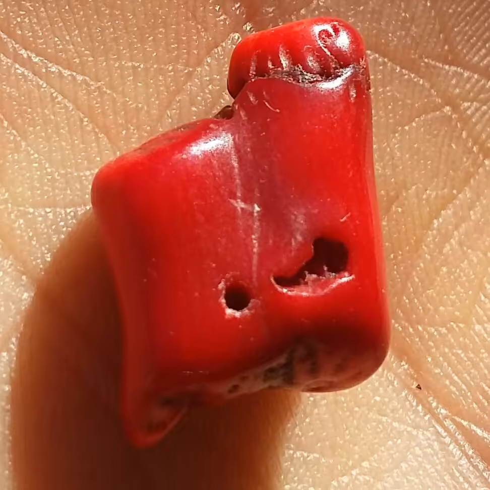 سنگ مرجان سرخ سوراخ دار مناسب آویز شااهکار خلقت بی نظییر خااص
