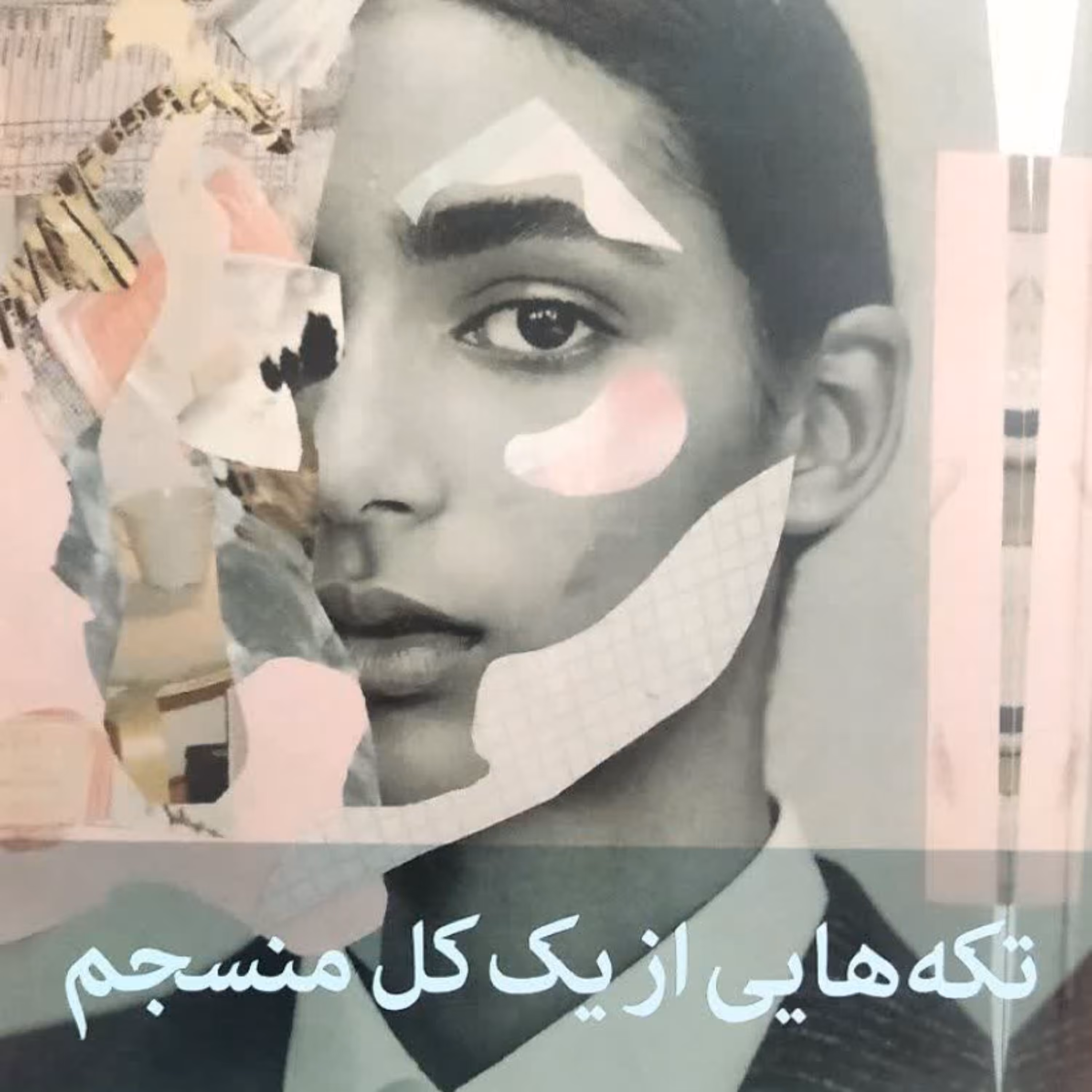 کتاب تکه هایی از یک کل منسجم پونه مقیمی