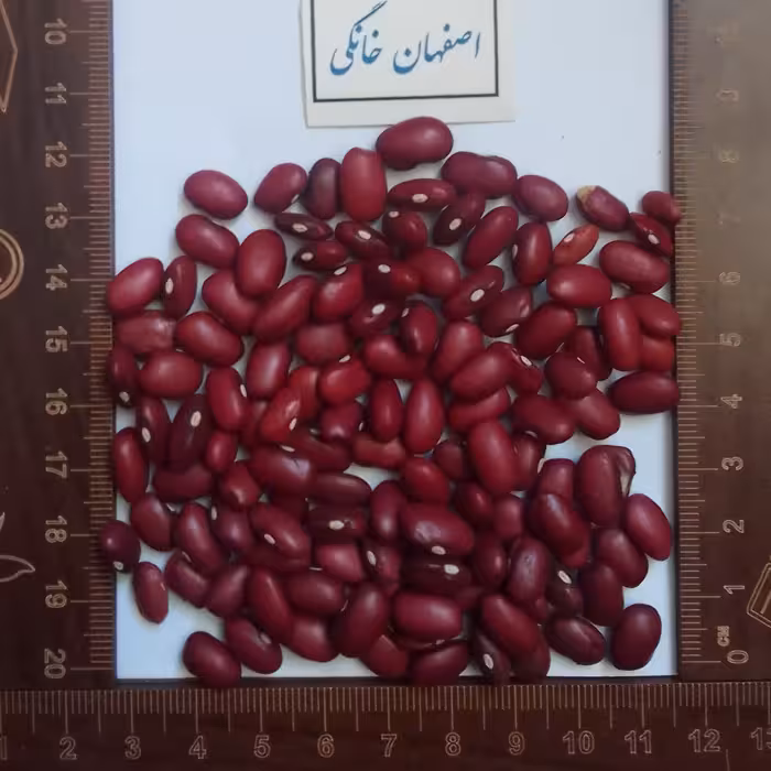 لوبیا قرمز یک کیلویی(ارسال سریع)