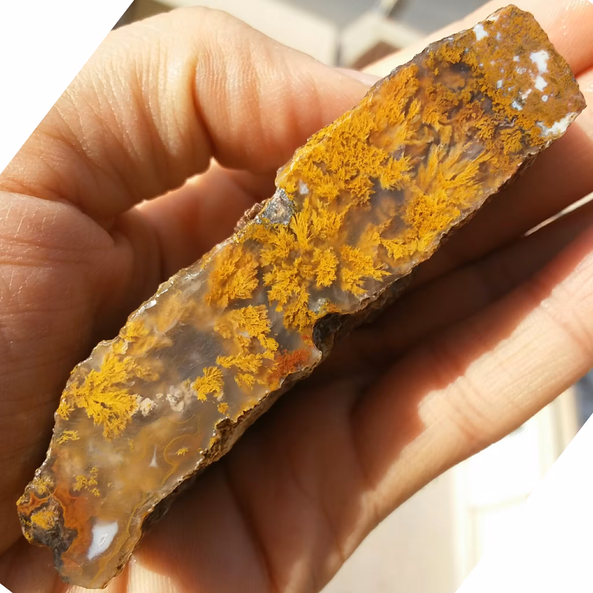 اسلایس سنگ راف عقیق شجر پاییزی کاملا طبیعی شاااااااهکار خلقت
تابلو نقاشی طبیعی
با قابلیت ساخت چند نگین فوق قیمتی 