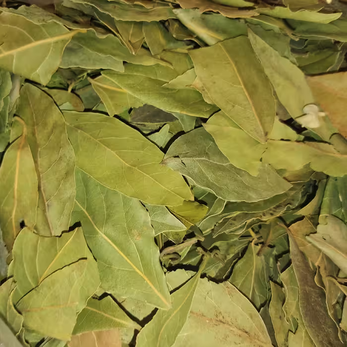 برگ بو  اعلا 100 گرمی