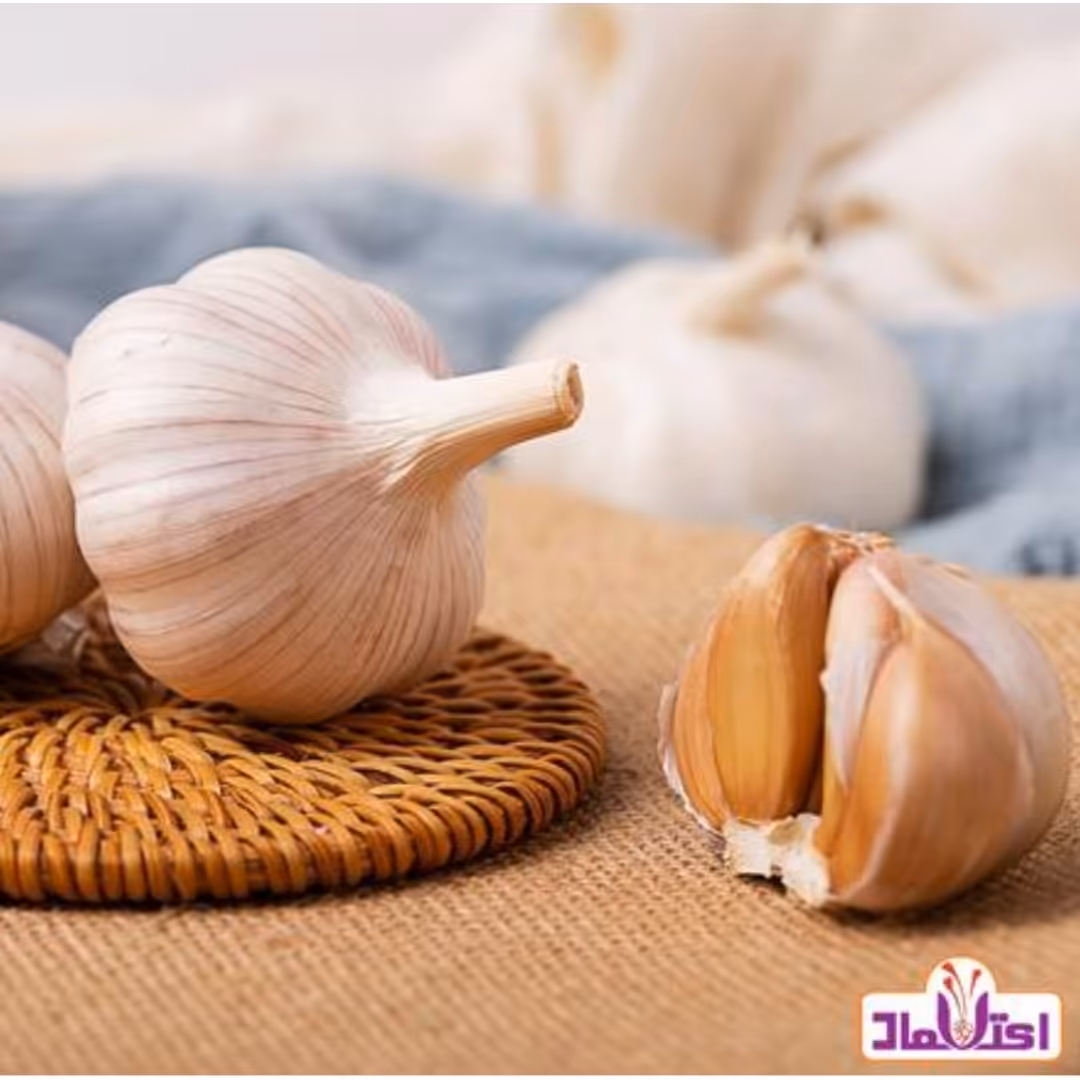 پودر سیر اعلا 100 گرمی اعتماد ( پودرسیر )