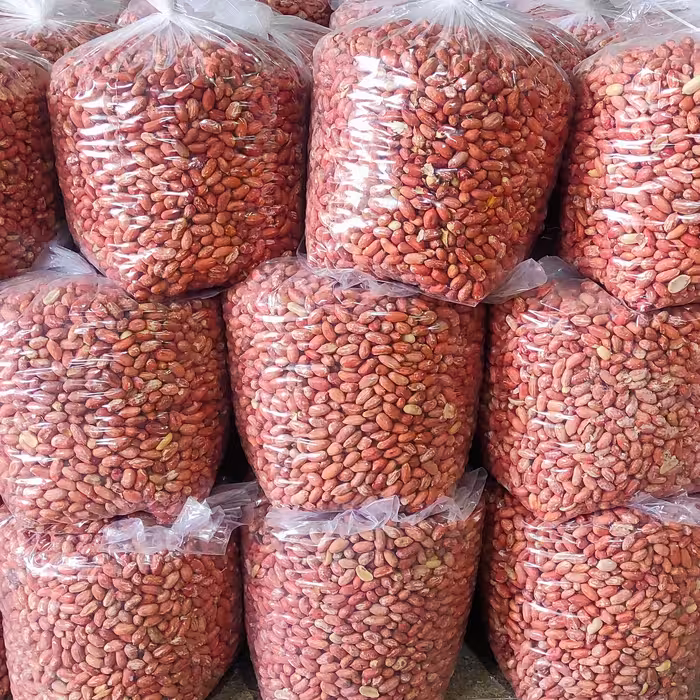 بادام زمینی تبرک مغان درجه یک ( سایز درشت ) کم نمک و امسال 100 کیلویی مغز برشته ( بوداده )