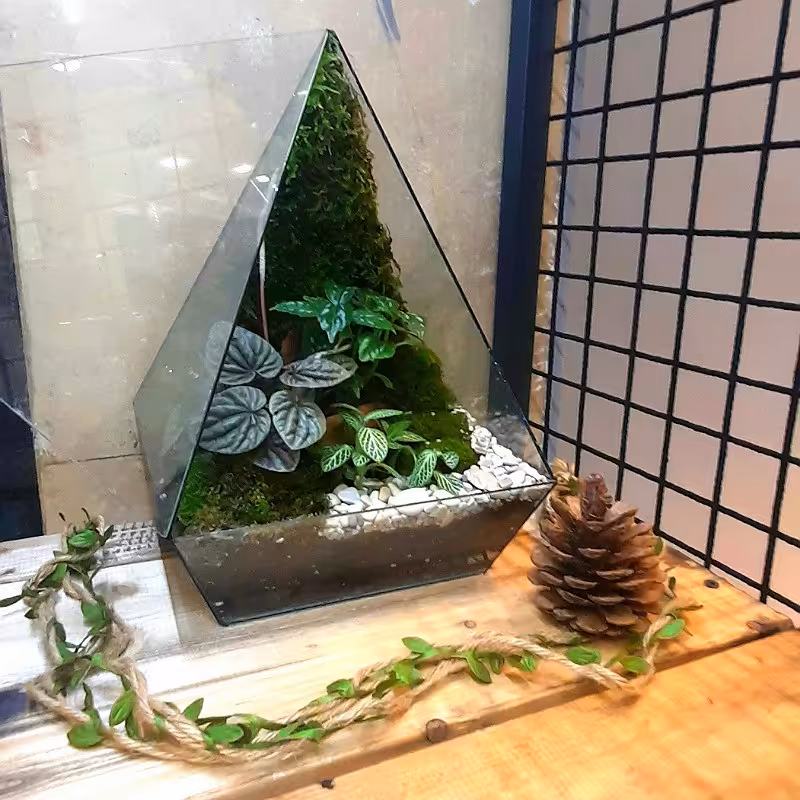 تراریوم مثلثی