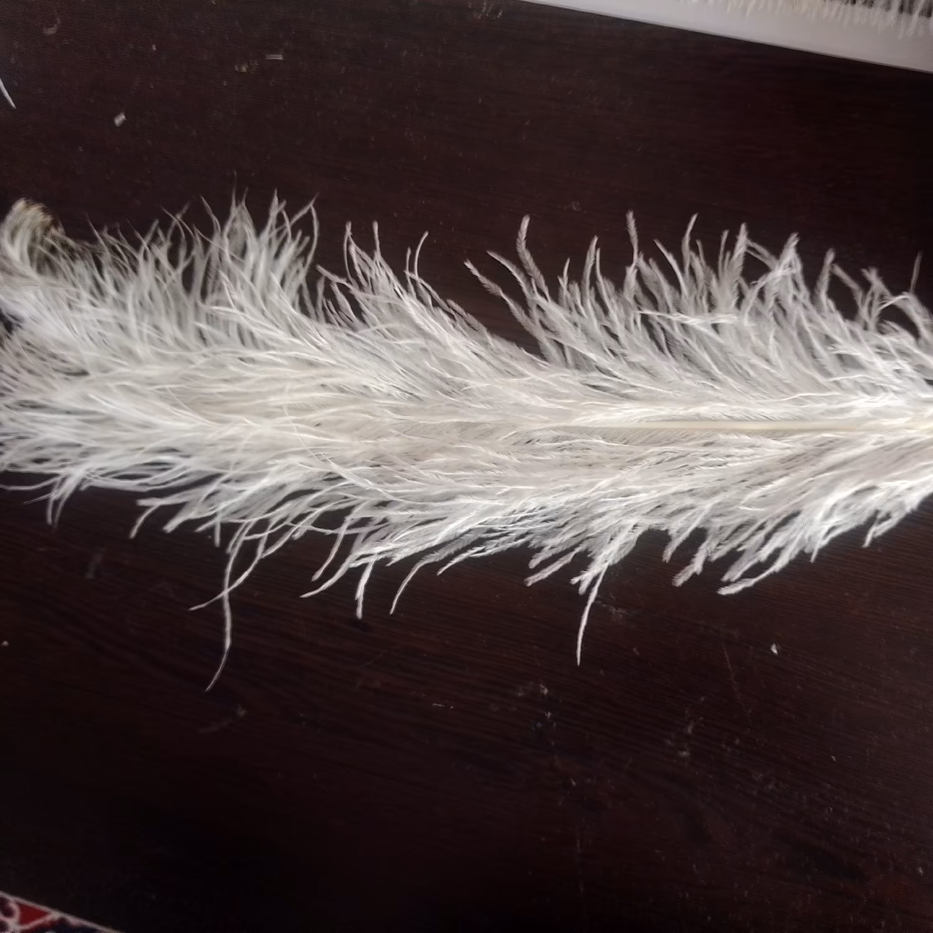 پر کلاه خود سفید 40سانتی شاه پر 