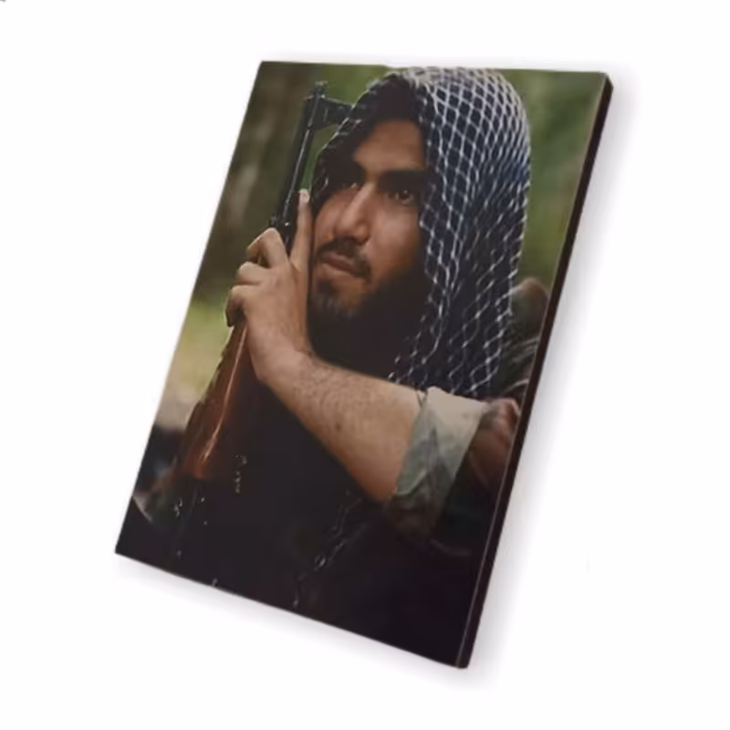 شاسی عکس شهید محمدرضا دهقان