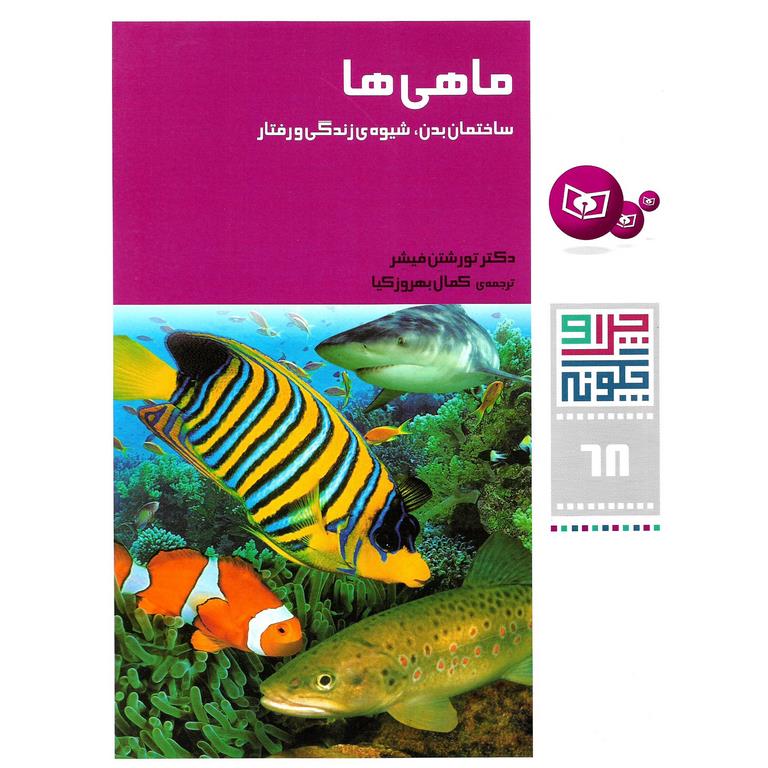 چرا و چگونه 68: ماهی ها