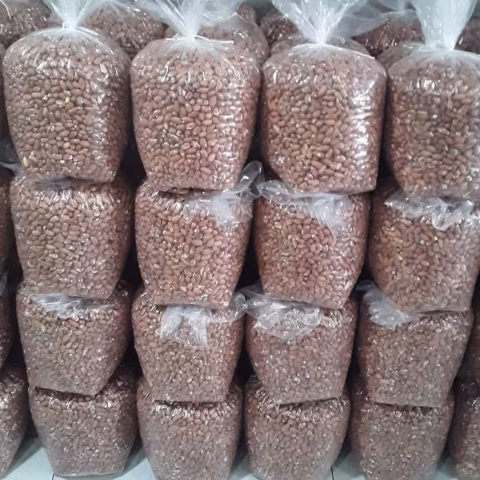 بادام زمینی استانه اشرفیه برداشت مرداد 1402 نوبرانه خوش طعم ونمکی 