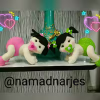 نمد نرجس