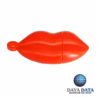 فلش مموری فانتزی دایا دیتا  لب مدل PF1005-3 ظرفیت32GB-USB2