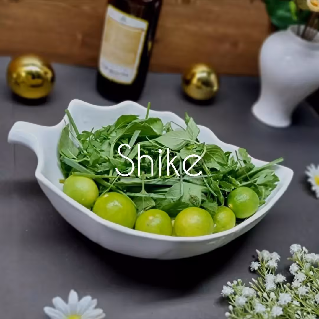 کاسه برگ بزرگ سرامیکی سفید