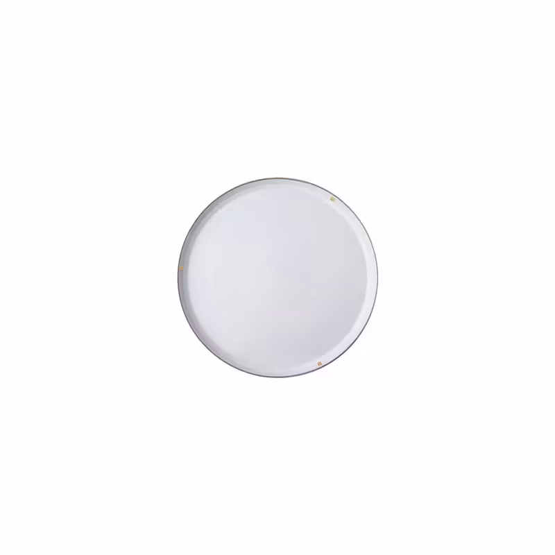 بشقاب تخت چینی زرین فرم اس اپرا (سایز 12)