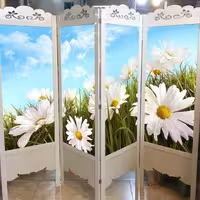 پاراوان تصویری pa-45 (هزینه ارسال به عهده مشتری می باشد)