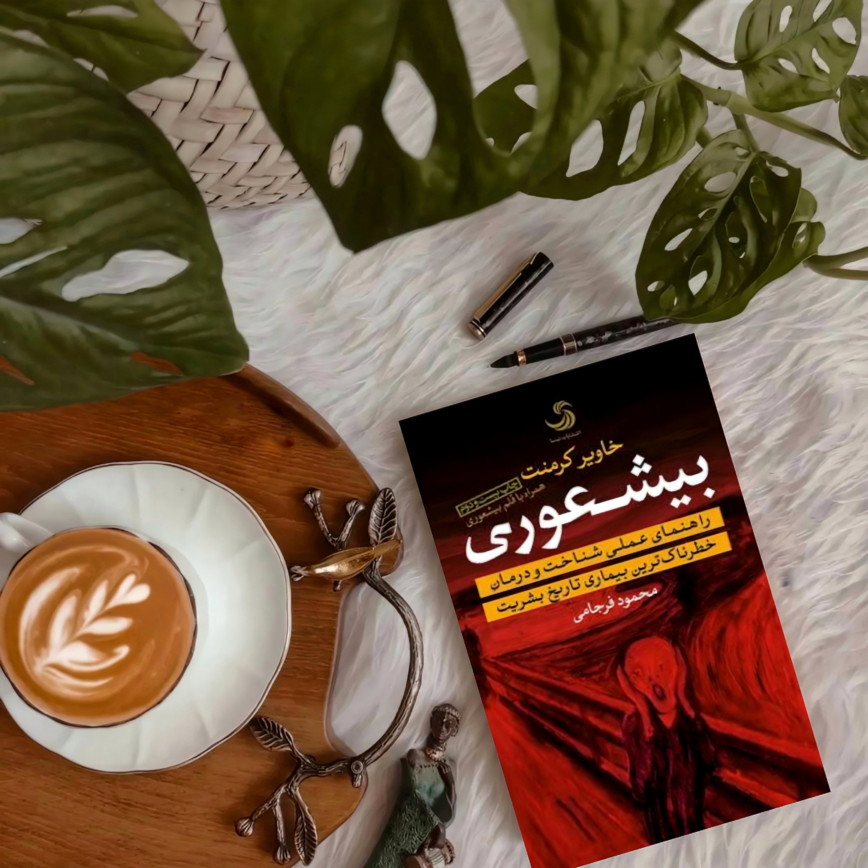 کتاب بیشعوری