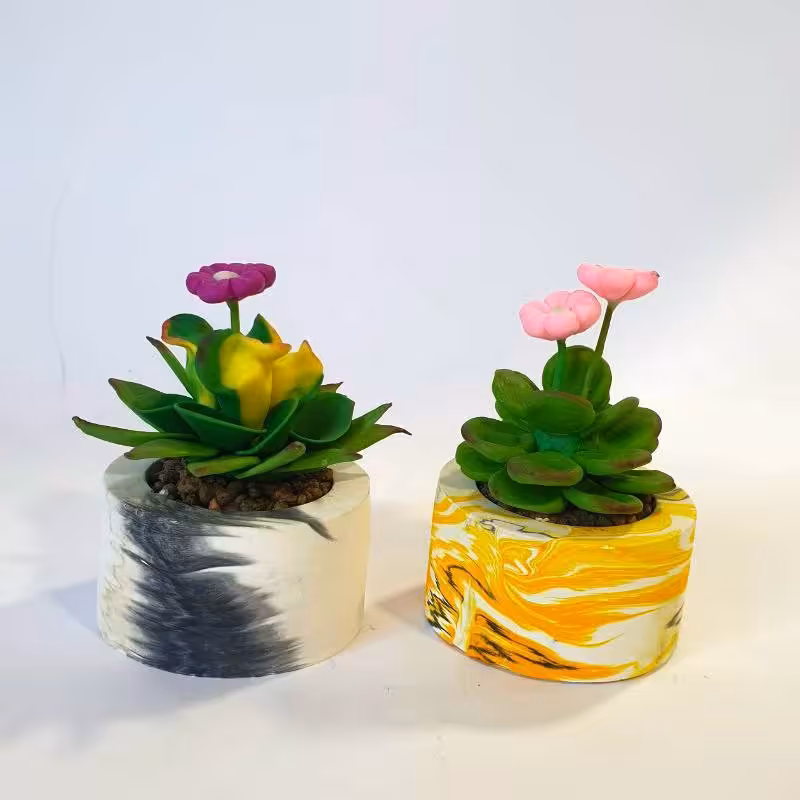 کاکتوس های تزینی برای دکوری و روشویی