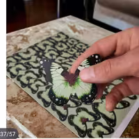 پروانه تزئینی گلاسه با روکش سلفون .مخصوص تزئین کیک های قنادی و خانگی  با رنگ های متفاوت