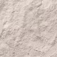 پودر سیر 100 گرمی شبکه طب ( عمده و خرده ) 