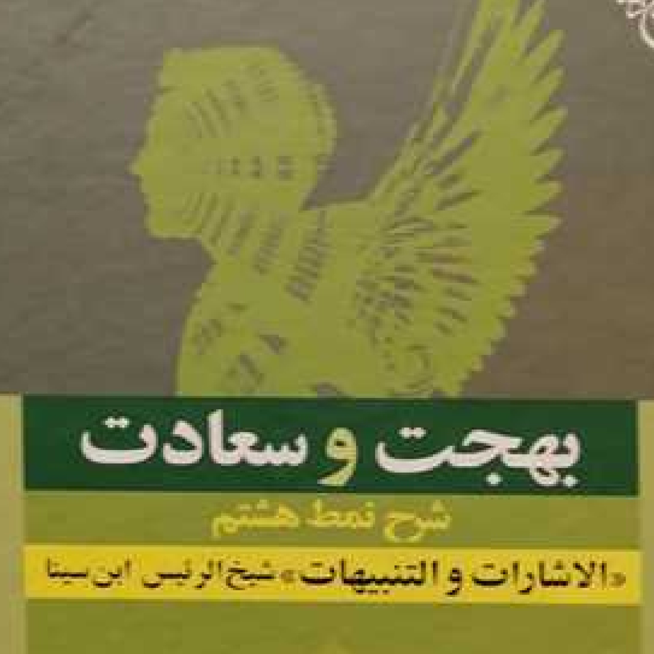 بهجت و سعادت شرح نمط هشتم الاشارات و التنبیهات شیخ الرئیس ابن سینا اثر بهشتی