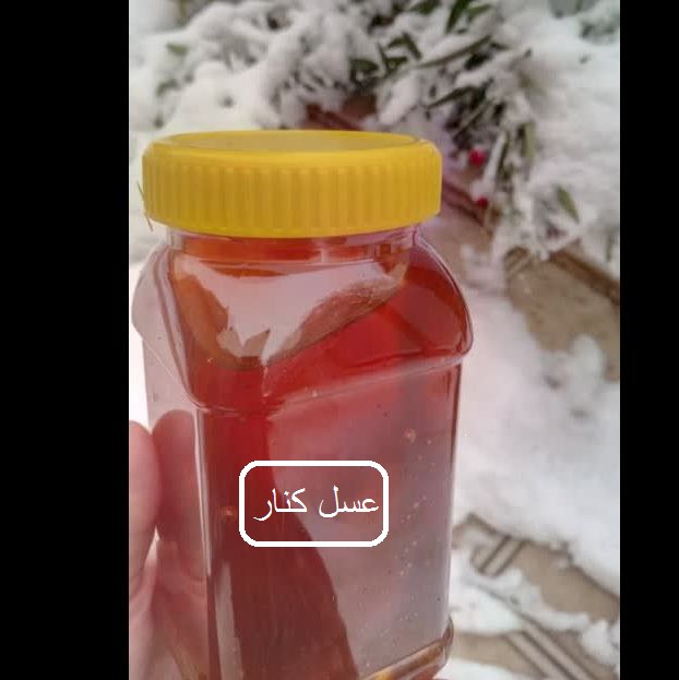 عسل کنار 1 کیلویی