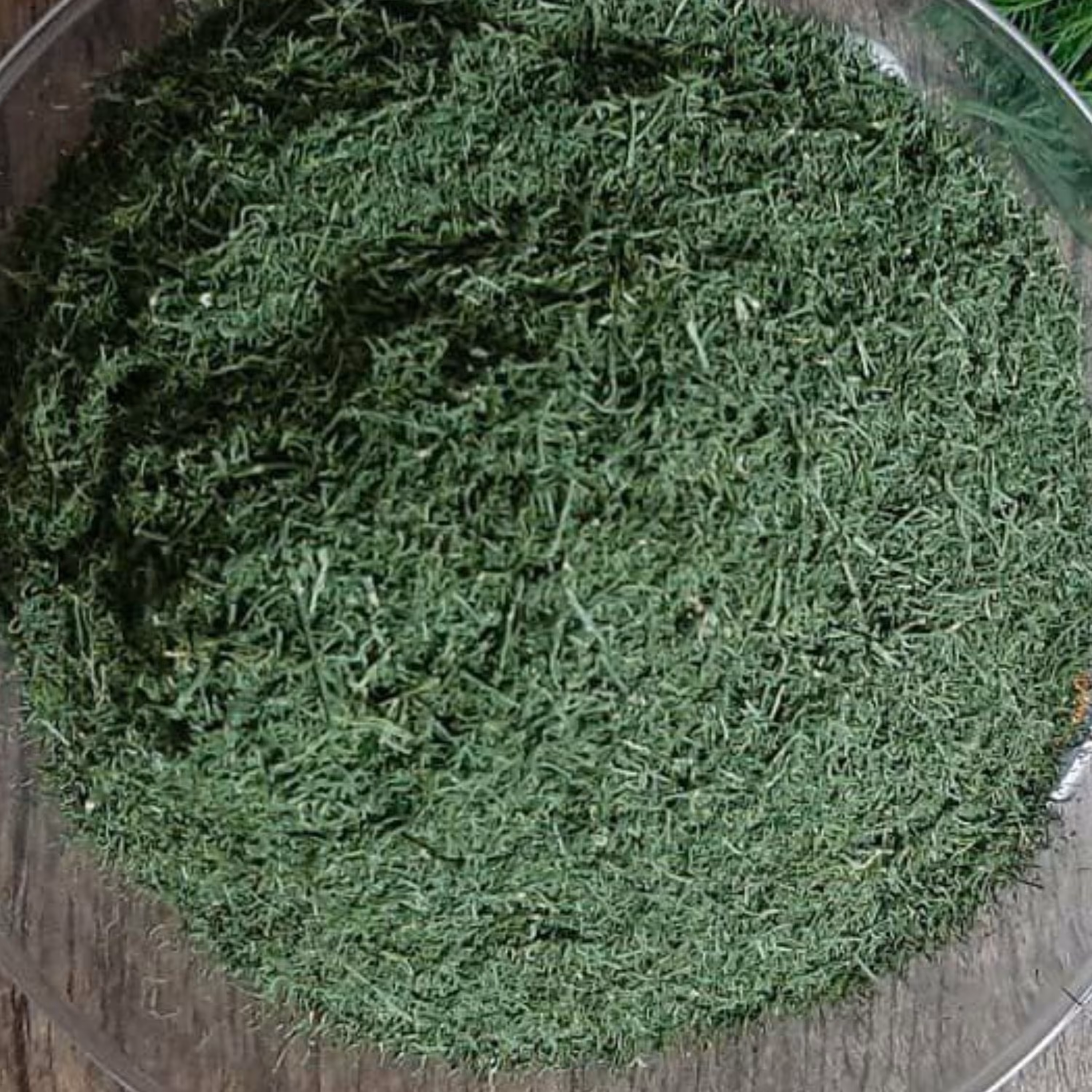 شوید خشک شسته شده اعلاء 250 گرمی