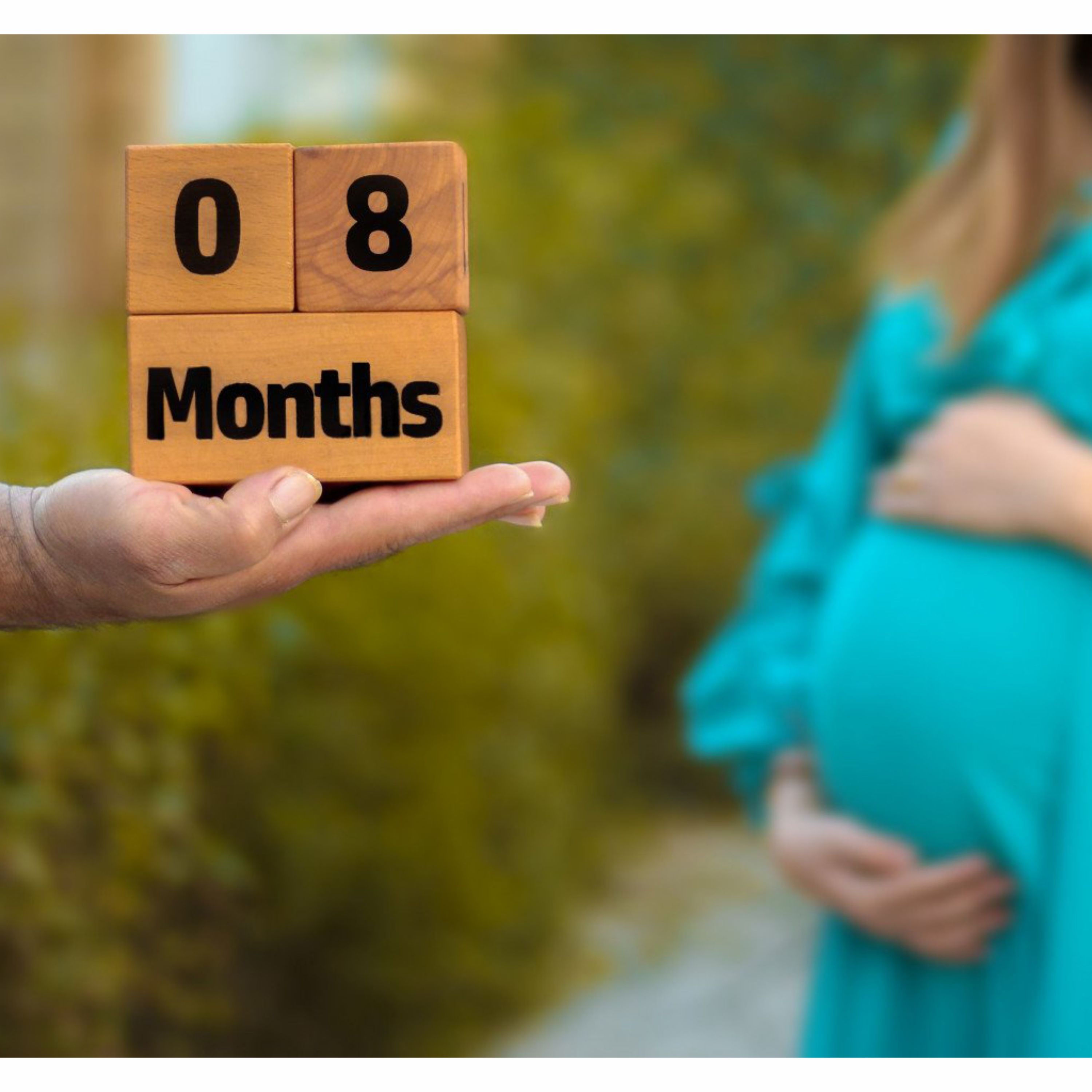 مکعب تاریخ شمار  برای نمایش تاریخ در عکاسی