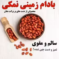 بادام زمینی ایرانی نمکی آجیلی دست چین شده تمیز ، سالم و مقوی