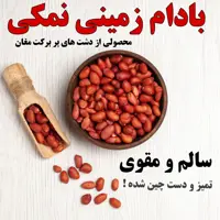 بادام زمینی ایرانی نمکی آجیلی دست چین شده تمیز ، سالم و مقوی