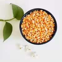 ذرت پاپ کورن (پفیلا) 250 گرمی