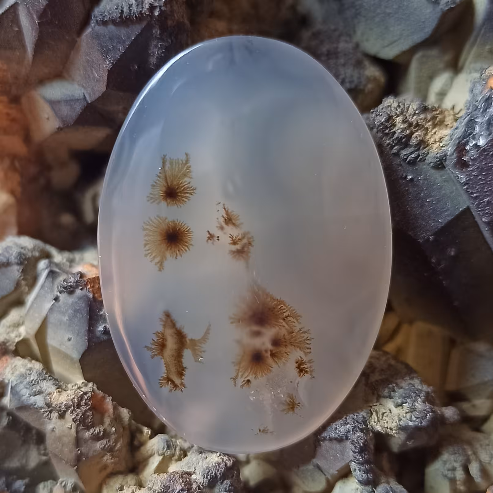 نگین عقیق شجر قاصدکی مدالی کد 127