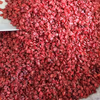 زرشک دانه اناری 1کیلوگرمی قاینات