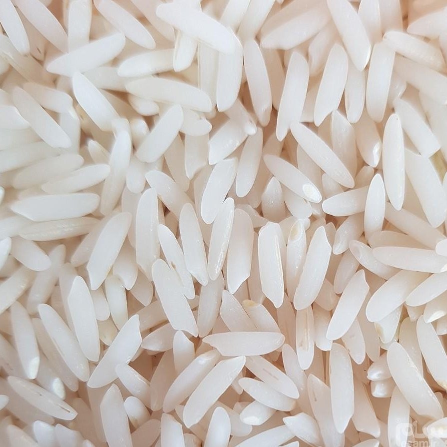 برنج طارم محلی 