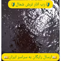 رب انار ترش شمال (کیلویی)