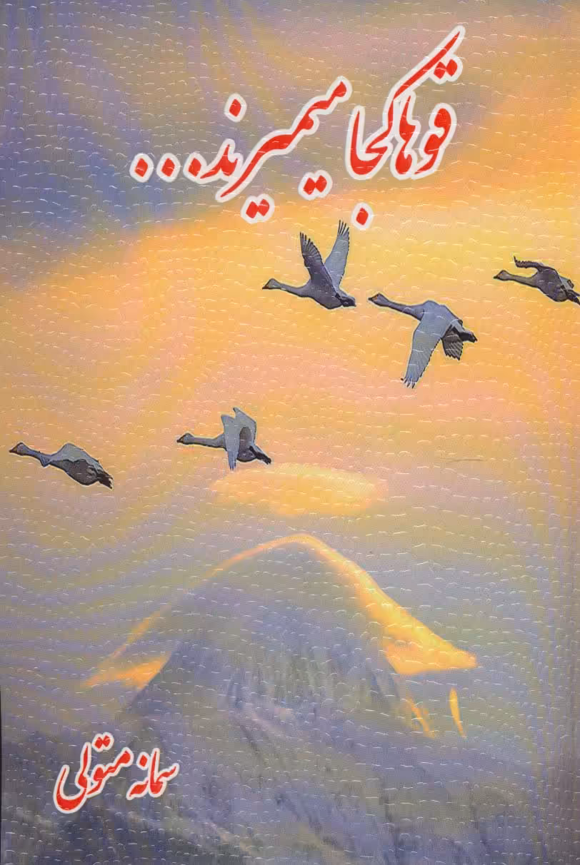 قوها کجا میمیرند... - ناشربوک | خرید آنلاین کتاب
