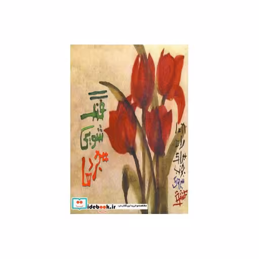 کتاب فنگ شویی مجردها اثر استفانی رابرتز